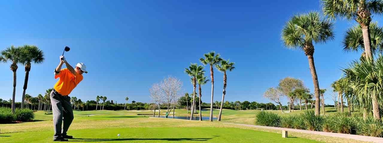 A man driving on a golf course with palm trees and a body of water in the background. 