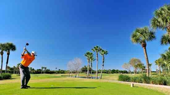 A man driving on a golf course with palm trees and a body of water in the background. 