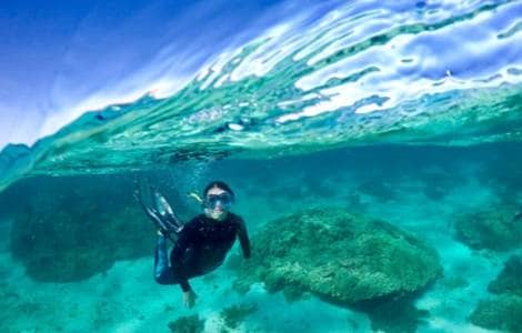 Snorkelling in clear waters at ningaloo reef