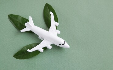Image of a toy plane with green leaves under its wings and tail to signify greener flight.