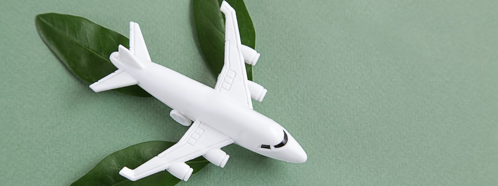 Image of a toy plane with green leaves under its wings and tail to signify greener flight.