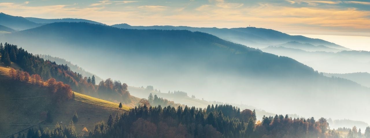 Der Schwarzwald in Deutschland