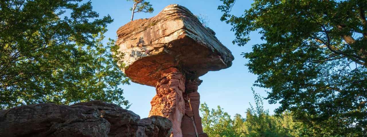 Der Teufelstisch von Hinterweidenthal im Pfälzerwald 