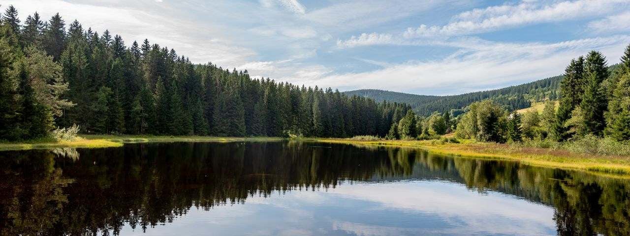 Der Titisee in Titisee-Neustadt