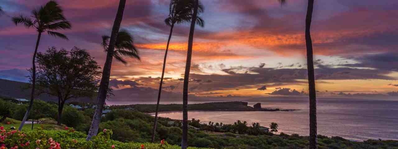 Sunrise over Manele Bay with palm trees and flowers on Lanai Island.