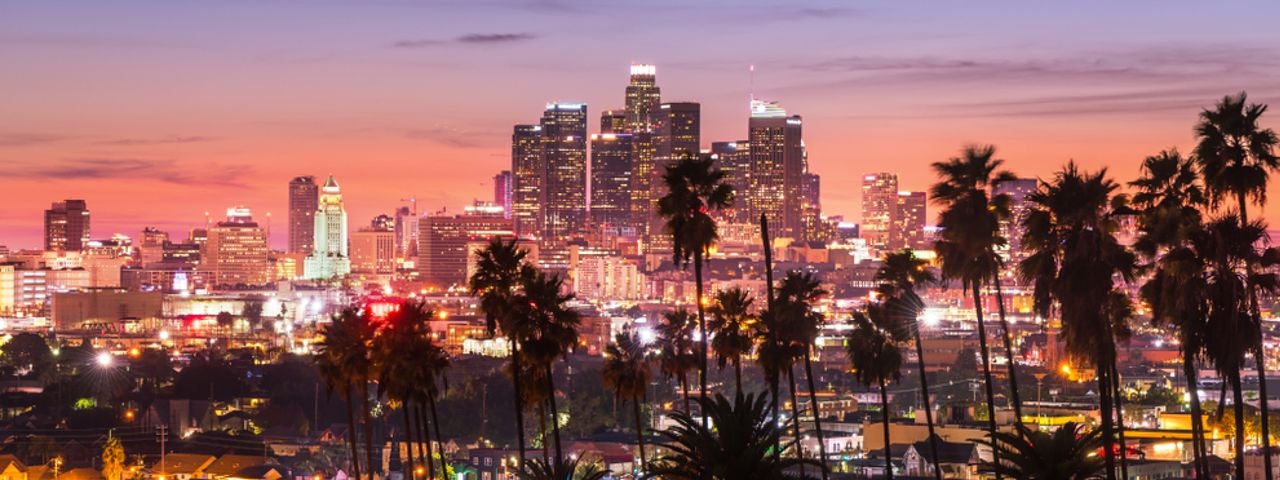 Sunset through the palm trees, Los Angeles.