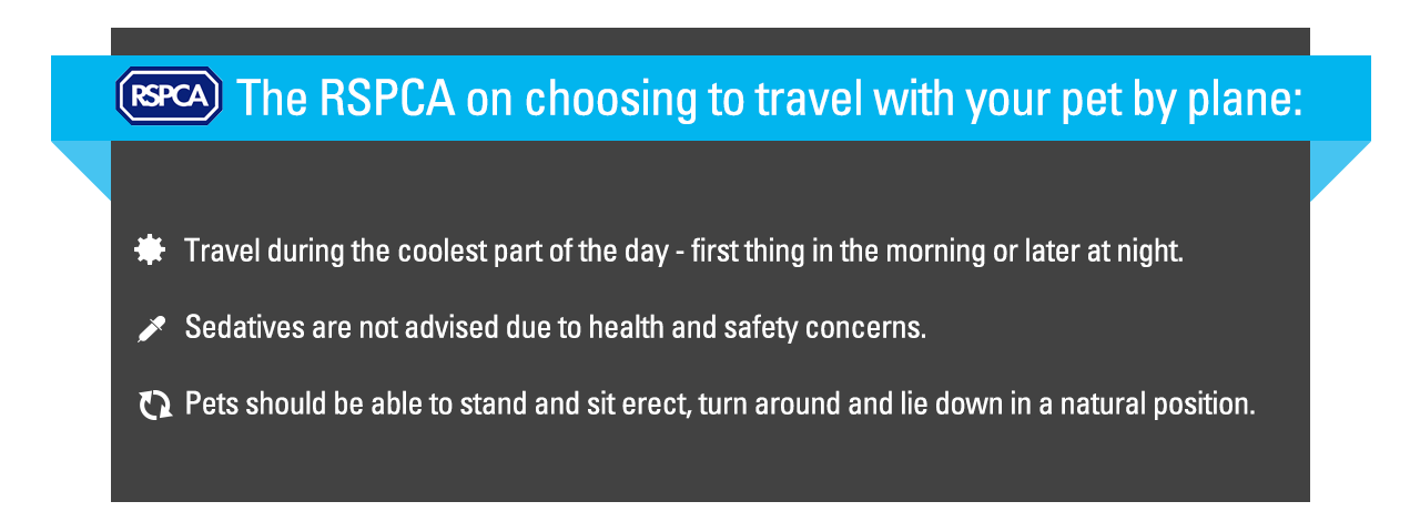 A list of advice from the UK’s RSPCA on choosing to travel with your pet by plane.