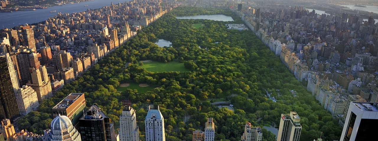 Aerial view of Central Park, Manhattan, New York, USA