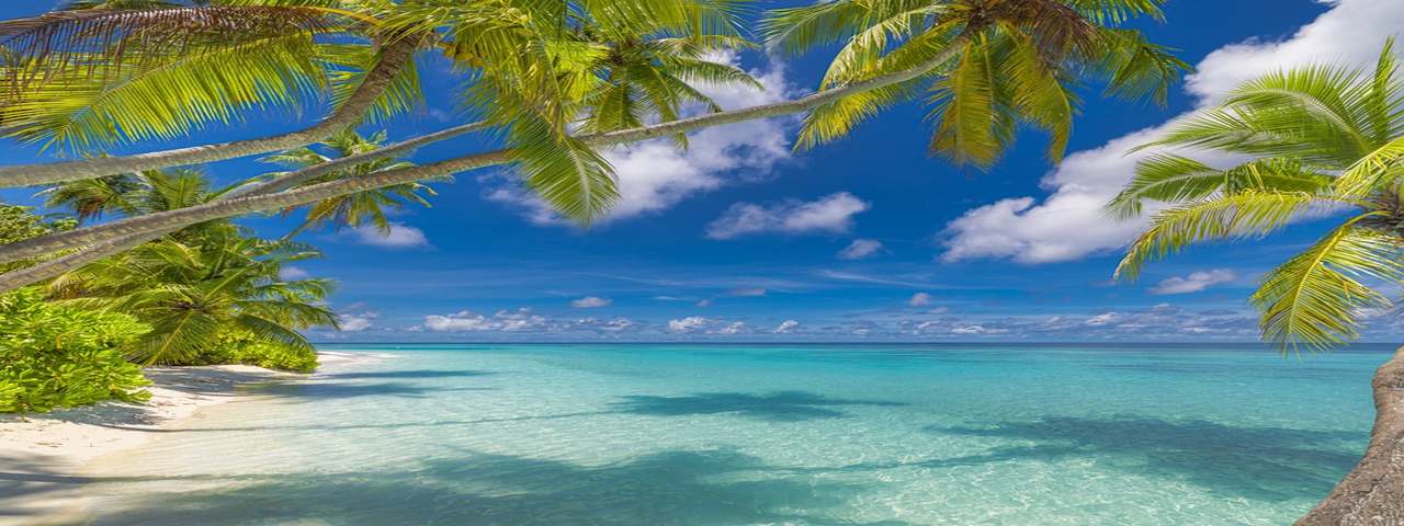 A peaceful beach scene in the Bahamas.