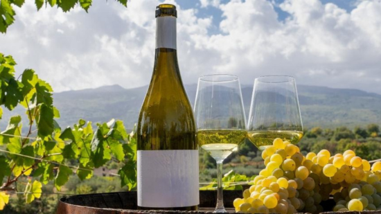 Wide landscape view of vineyard rows stretching across rolling countryside with a wine bottle, two wine glasses and a bunch of pale grapes in the foreground. Vine leaves frame the image from above, while distant hills and a cloudy sky form the background. 