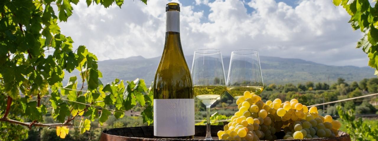 Wide landscape view of vineyard rows stretching across rolling countryside with a wine bottle, two wine glasses and a bunch of pale grapes in the foreground. Vine leaves frame the image from above, while distant hills and a cloudy sky form the background.
