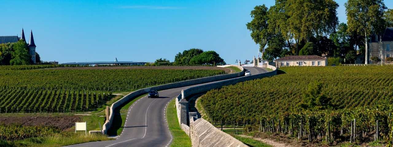 Vineyard planted across gently rolling hills with parallel rows of grapevines extending toward dry, shrub-covered slopes. Clusters of trees and rugged terrain surround the cultivated area beneath a clear sky. 