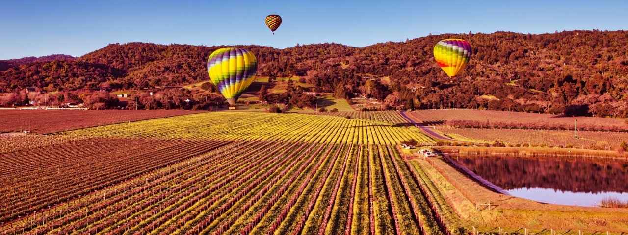 Vineyard landscape during autumn with long rows of grapevines displaying golden and reddish tones. Several hot air balloons float above the fields, while wooded hills and a reflective pond appear in the background. 