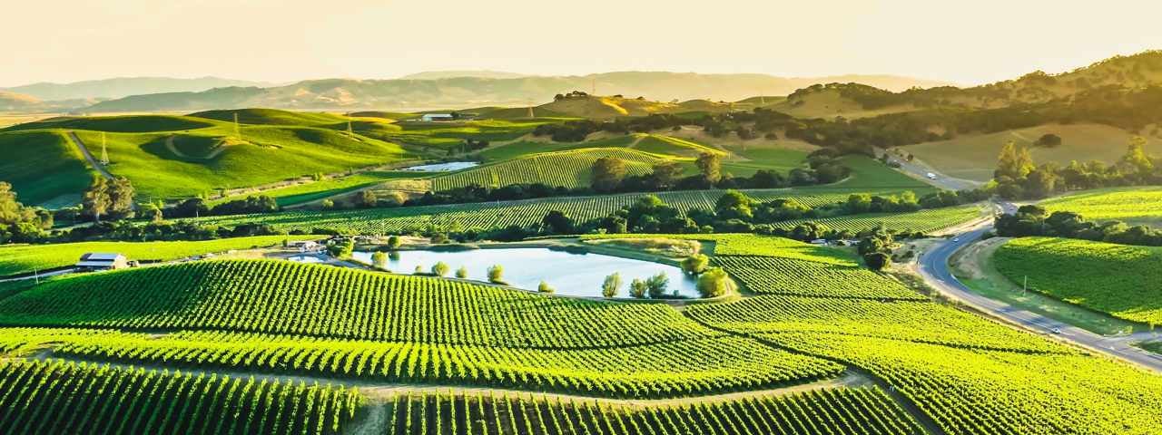 Sunrise light over vineyards, small lakes and farms in a farming area in Bordeaux.
