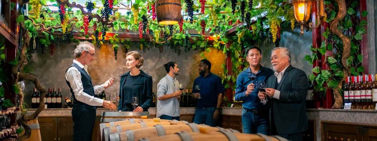 A professional sommelier explaining wine to a group of guests in a picturesque wine cellar with barrels on the floor and grape vines hanging from above.