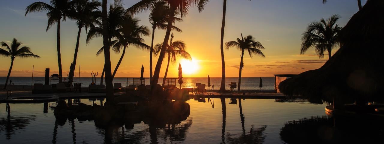Silhouettes of palm trees, loungers, and umbrellas as the sun rises over the horizon in Cabo San Lucas. The scenery is reflected in a pool behind the palm trees, loungers, and umbrellas.