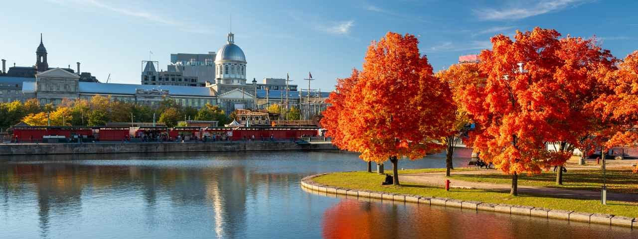 Old Port of Montreal in Fall. Red maples and old Montreal buildings' skyline reflected on St. Lawrence River. Fall foliage season in Montreal, Quebec, Canada.