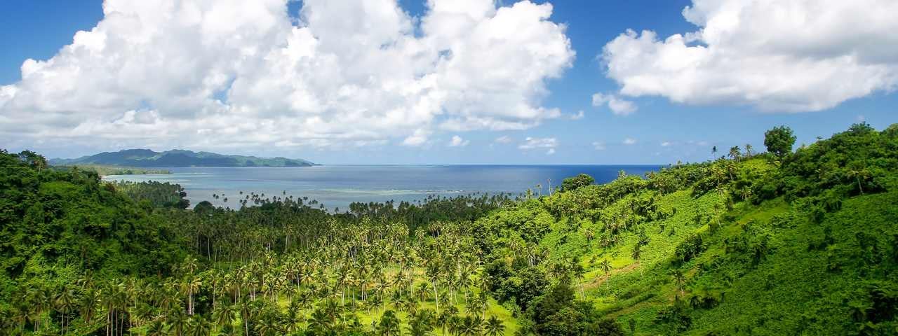 An aerial view of the ocean from Taveuni Island with green forest in the foreground.