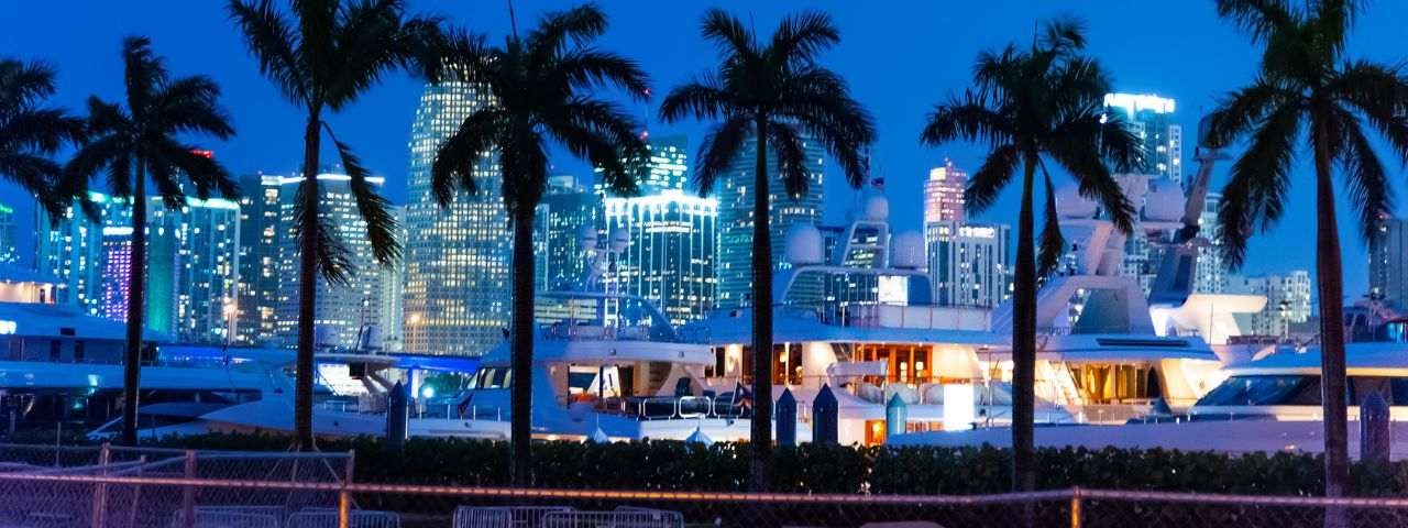 Palm trees, yachts, and skyscrapers in Miami at night.