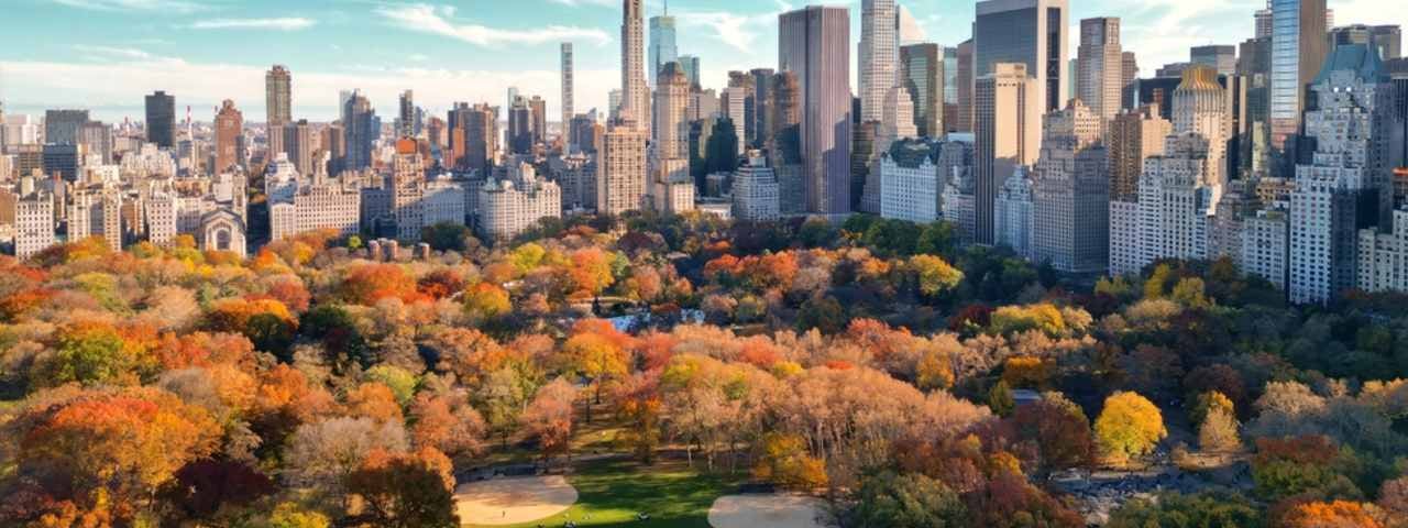 Central Park in autumn colours in the foreground with the New York City skyline behind it.