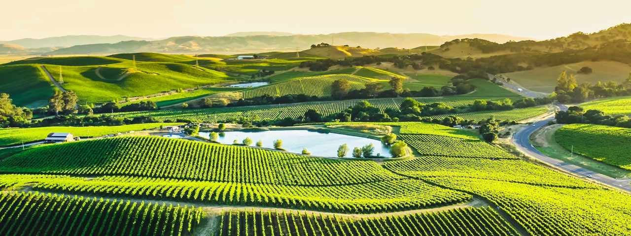 Sunset light over hills and vineyards in Bordeaux