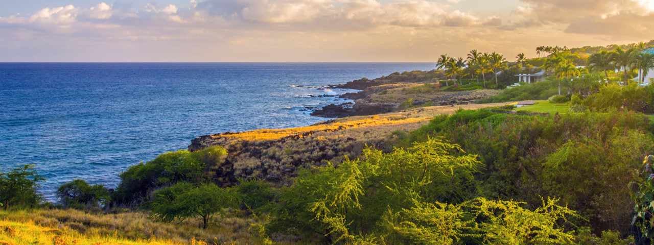 Sunset on a beach with greenery reaching the ocean’s edge in Lanai, Hawaii.