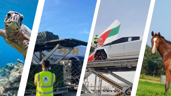 The cargo charters that defined 2025