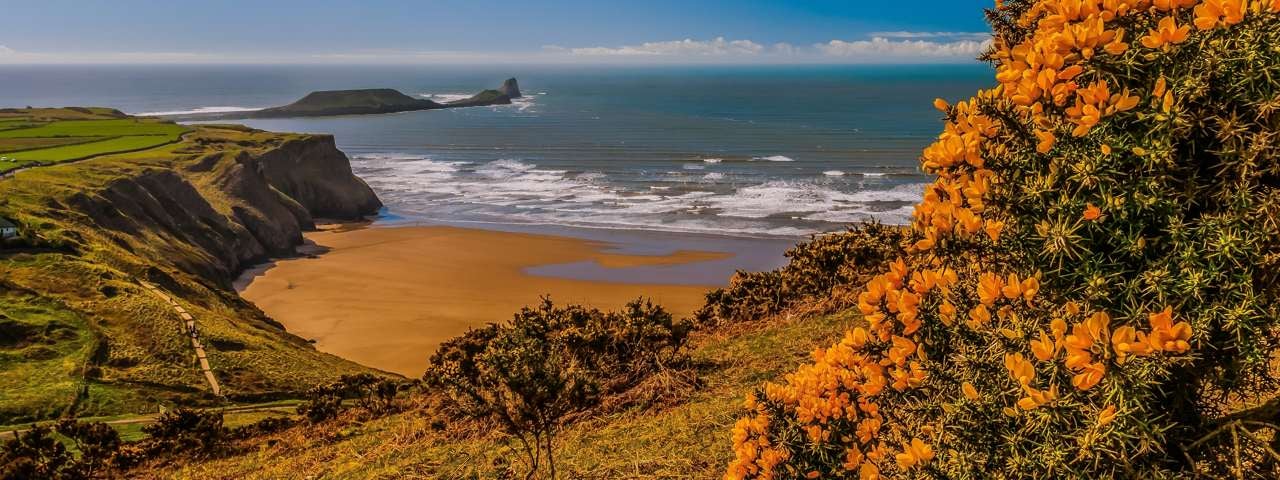 A picturesque Welsh coastline with cliffs and vibrant wildflowers.
