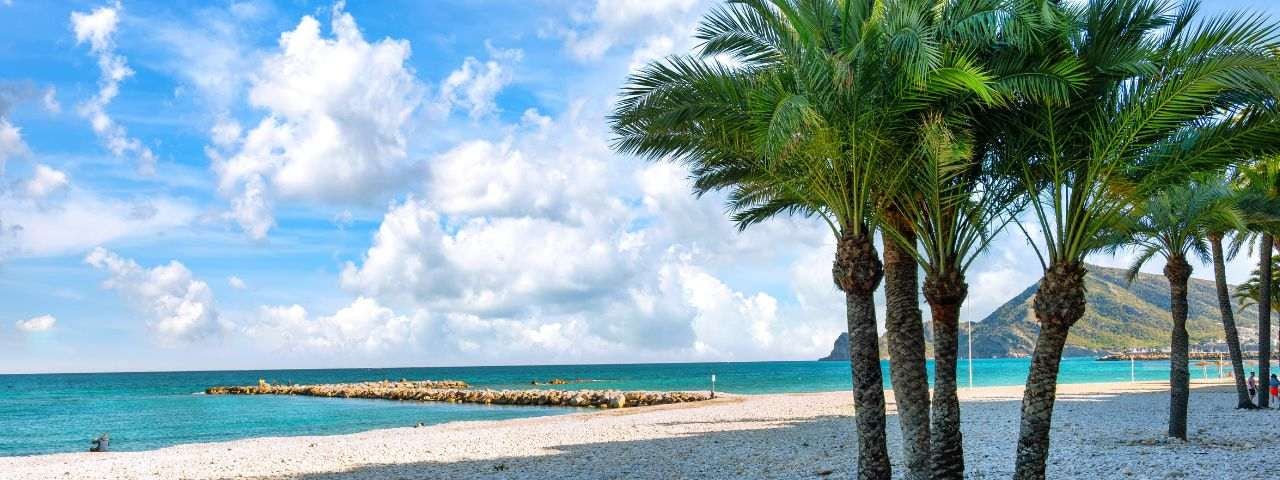 View of a beach with palm trees in Spain.